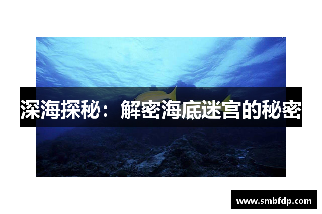 深海探秘：解密海底迷宫的秘密